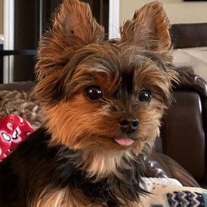 Meet your Posher, Tina